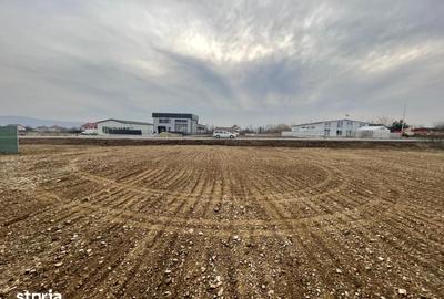 Spațiu comercial, de 300 mp, în Dărmănești - 7