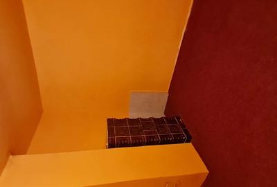 Casă cu 3 camere în Sălacea - 7