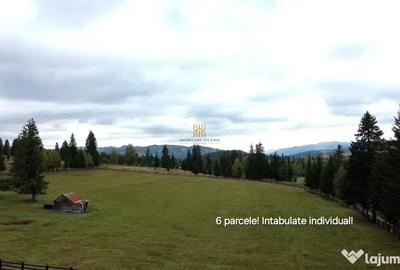 Teren de 16813 mp, în Fundu Moldovei - 18