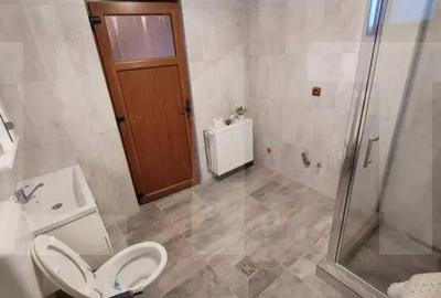 Casă cu Teren 1475 Mp în Cărpiniș - 3