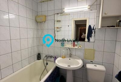 Apartament cu 3 camere semidecomandat în Ozana - 23