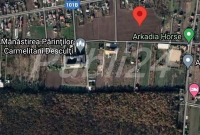 Teren de 6600 mp, în Snagov - 1
