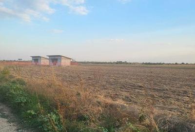 Teren de 500 mp, în Adunații-Copăceni