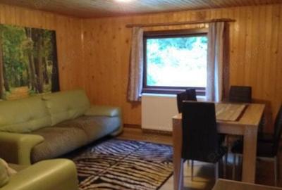 Casă cu 4 camere cu Teren 1365 Mp în Borzont - 3