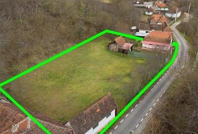 RECO Casa de vacanta la Holod- langa padure- teren 2190mp - 3