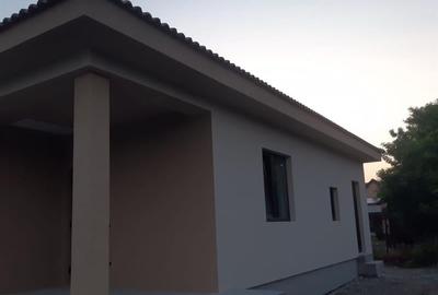 Casa individuala com Peciu Nou-  loc. Dinias - 5