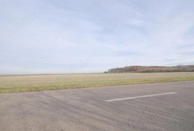 Teren de 270000 mp, în Gherghița - 2