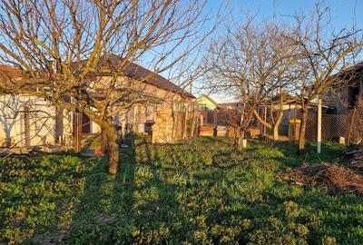Casă cu 3 camere cu Teren 1540 Mp în Pâncota - 5