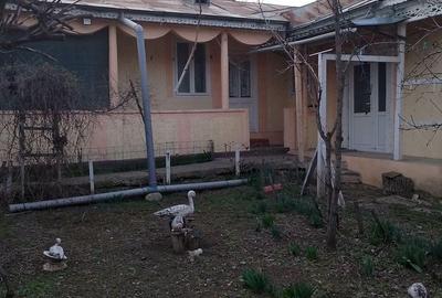 Casă cu 4 camere cu Teren 1173 Mp în Schela - 5