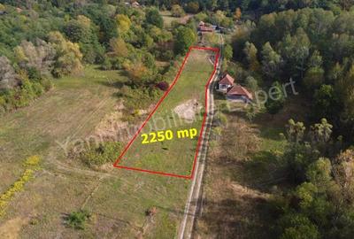 Teren de 2250 mp, în Ioanicești - 1