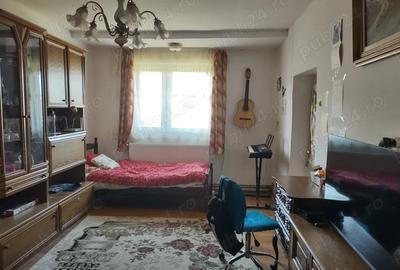 Casă cu 3 camere cu Teren 5700 Mp în Viile Satu Mare - 10