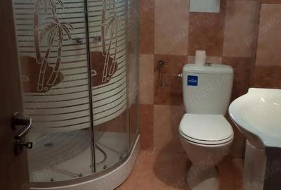 Spațiu comercial, de 250 mp, în Lipovei - 10