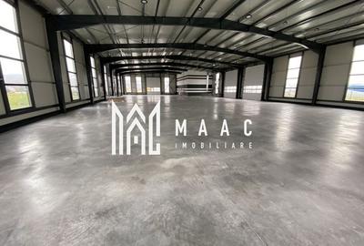 Hală logistică I 1200 mp I Acces TIR I Birouri I Tălmaciu - 2