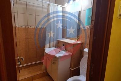 Garsonieră semidecomandată în Lăpuș - 7