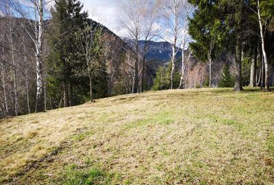 Spațiu comercial, în Peștera - 6