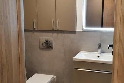 Apartament cu 2 camere semidecomandat, mobilat în Nufărul - 8