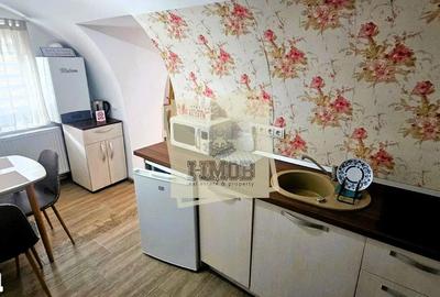 Apartament cu 2 camere, mobilat în Ultracentral - 14