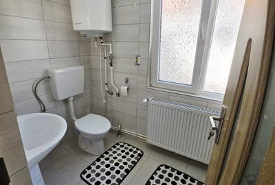 Casă individuală cu 5 camere cu Canalizare în Dorobanțul - 45