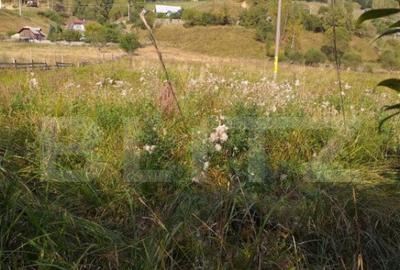 Teren de 7500 mp, în Central