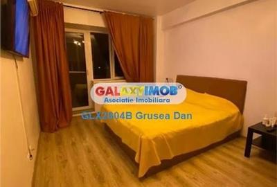 Garsoniera Cat Friendly Metalurgiei - 3