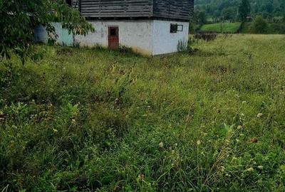 Casa + teren sat Sulta, com Agas, Jud Bacau - 1