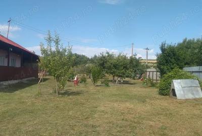 Casă cu 3 camere în Podu Turcului - 6