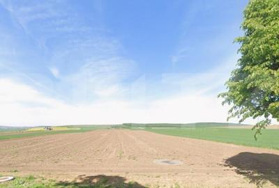 Teren 75 ari, Drumul Mitocului, Suceava, oportunitate invest - 1