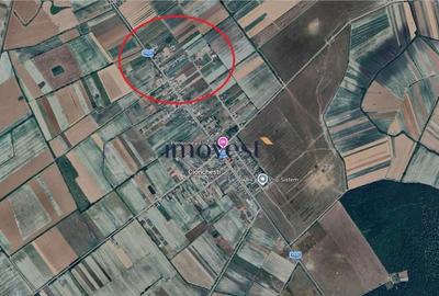 Teren de 645 mp, în Viile Satu Mare - 1