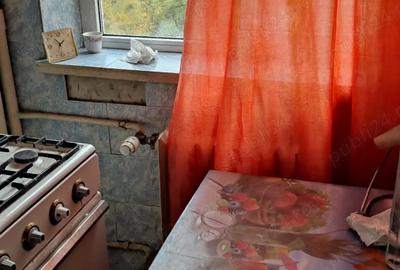 Inchiriez garsoniera Brazda lui Novac - 3