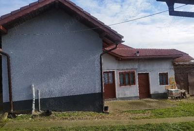 Casă cu 3 camere cu Teren 2500 Mp în Central - 5