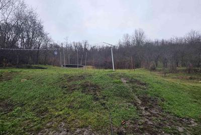 Casă cu Teren 3650 Mp în Sânmihaiu de Câmpie