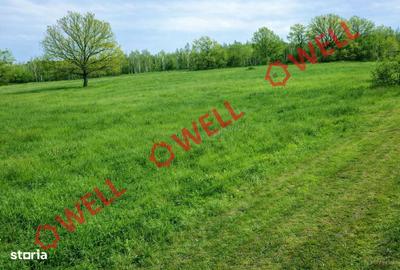 Teren de 884 mp, în Brăduț - 2