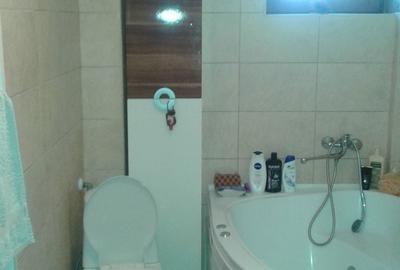 Apartament cu 2 camere semidecomandat în Dosu Bricii - 3