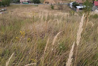 Spațiu comercial, în Fârtățești - 5