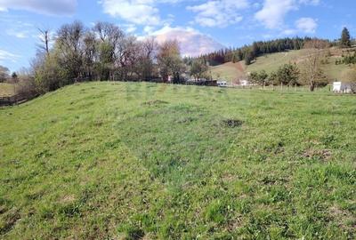 Teren 2,421mp Vatra Dornei / Strada Chilia - 9