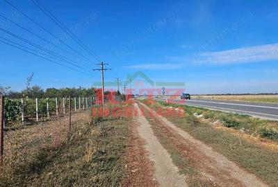 Teren de 56800 mp, în Fărcașele - 17