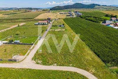 Teren pretabil constructie rezidentiala – Sanpetru - 10