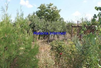 Casă individuală cu 2 camere cu Teren 1400 Mp în Cobadin - 9