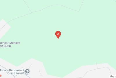 Teren agricol extravilan de 10000 mp, în Burla - 1