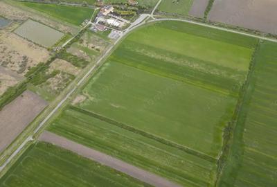 Teren de 22500 mp, în Ineu - 1