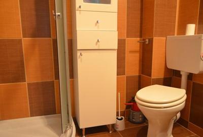 Busteni-Apartament cu trei camere,mobilat si utilat - 6