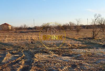 TEREN INTRAVILAN BRAGADIRU 5000mp| SOSEAUA ALEXANDRIEI | DESCHIDERE LA 2 STRAZI TEREN INTRAVILAN BRAGADIRU 5000mp| SOSEAUA ALEXANDRIEI | DESCHIDERE LA 2 STRAZI - 4