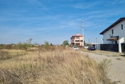 Vanzare Teren  Industrial Pantelimon Cernica 10000mp - 8