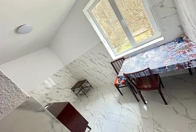 Apartament cu 2 camere decomandat în Nădrag - 3