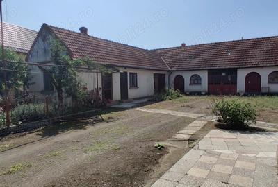 Casa gospodarie in Belint - 5