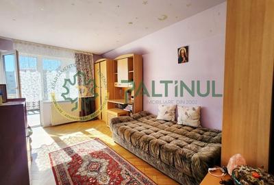 Casă Turnișor – 280 mp utili, teren 515 mp, curte și grădină pe rod - 8