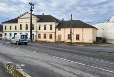 Proprietate tip conac, teren 4468 mp, oras Lipova - 3