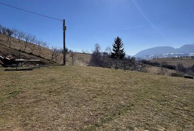 Casă cu 2 camere în Poiana Mărului - 2