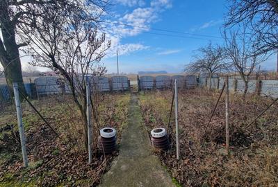 Casa + teren 2600 mp- Com. Negri- scop rezidential sau industrial - 6