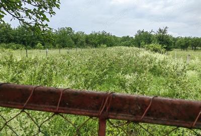 Teren intravilan 18.645 mp in Satul Santamaria de Piatra (sat apartinator Orasului Calan) din Jud HD - 13